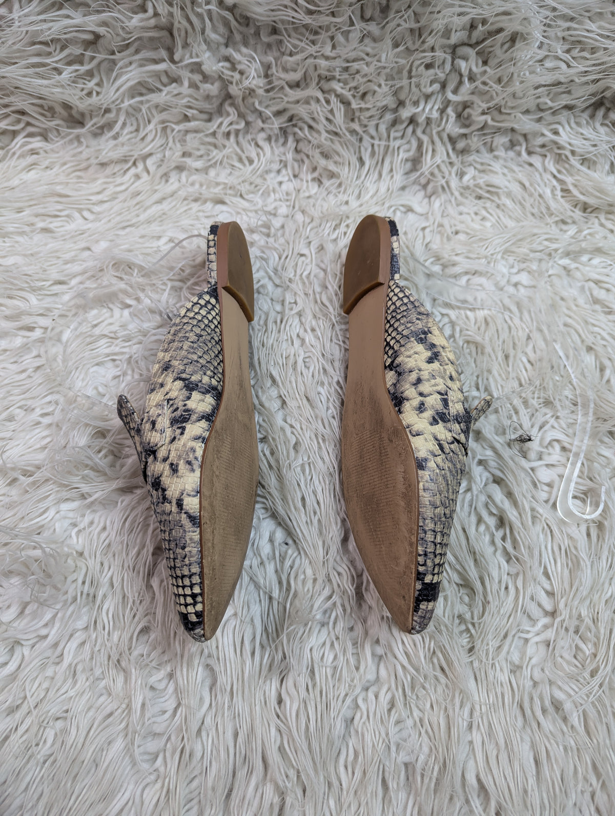 Steve Madden snake style pumps
